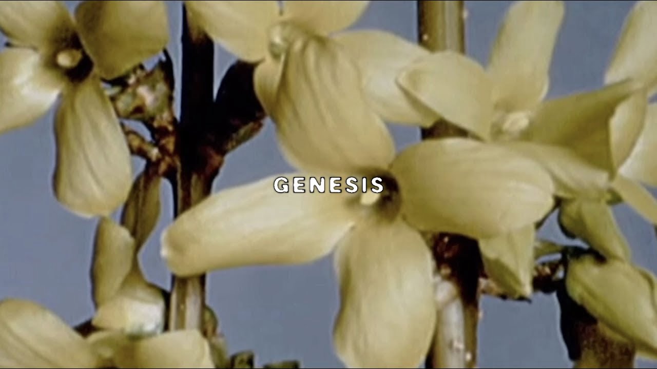 Genesis Lyrics – $uicideboy$ genesis lyrics